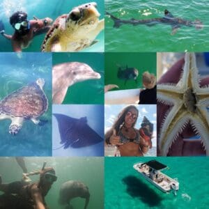 Sea creatures