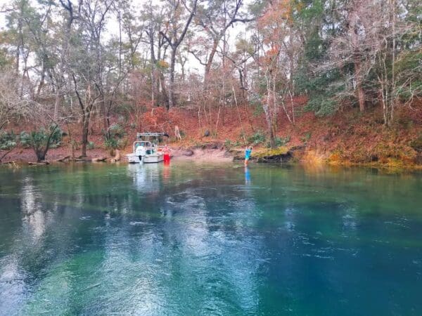Freshwater Spring and River Adventure - Image 5
