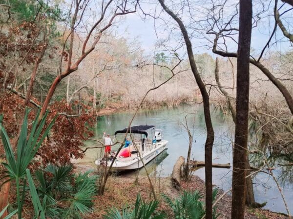 Freshwater Spring and River Adventure - Image 9
