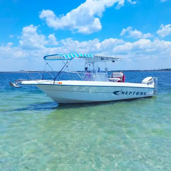 Mexico Beach Snorkeling, Shelling, and Sealife Tour