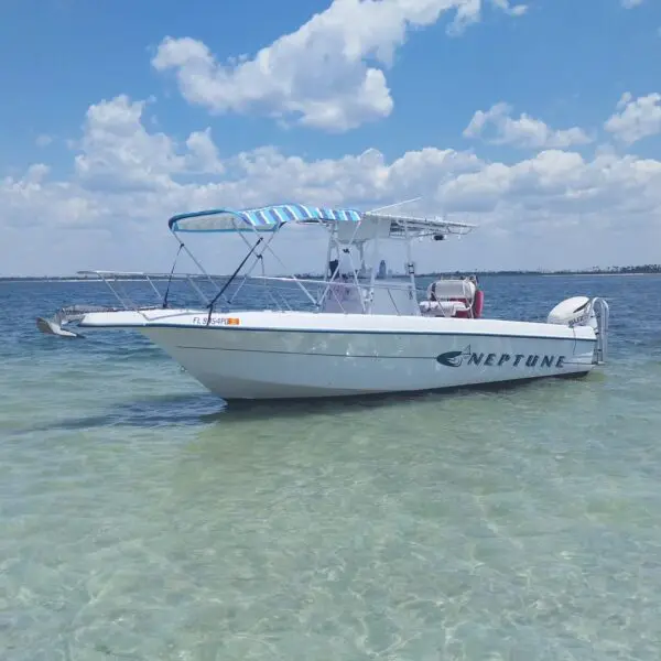 Mexico Beach Snorkeling, Shelling, and Sealife Tour