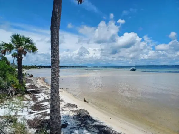 Bay side of Cape San Blas