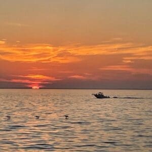 Sunset Cruise in Port St. Joe