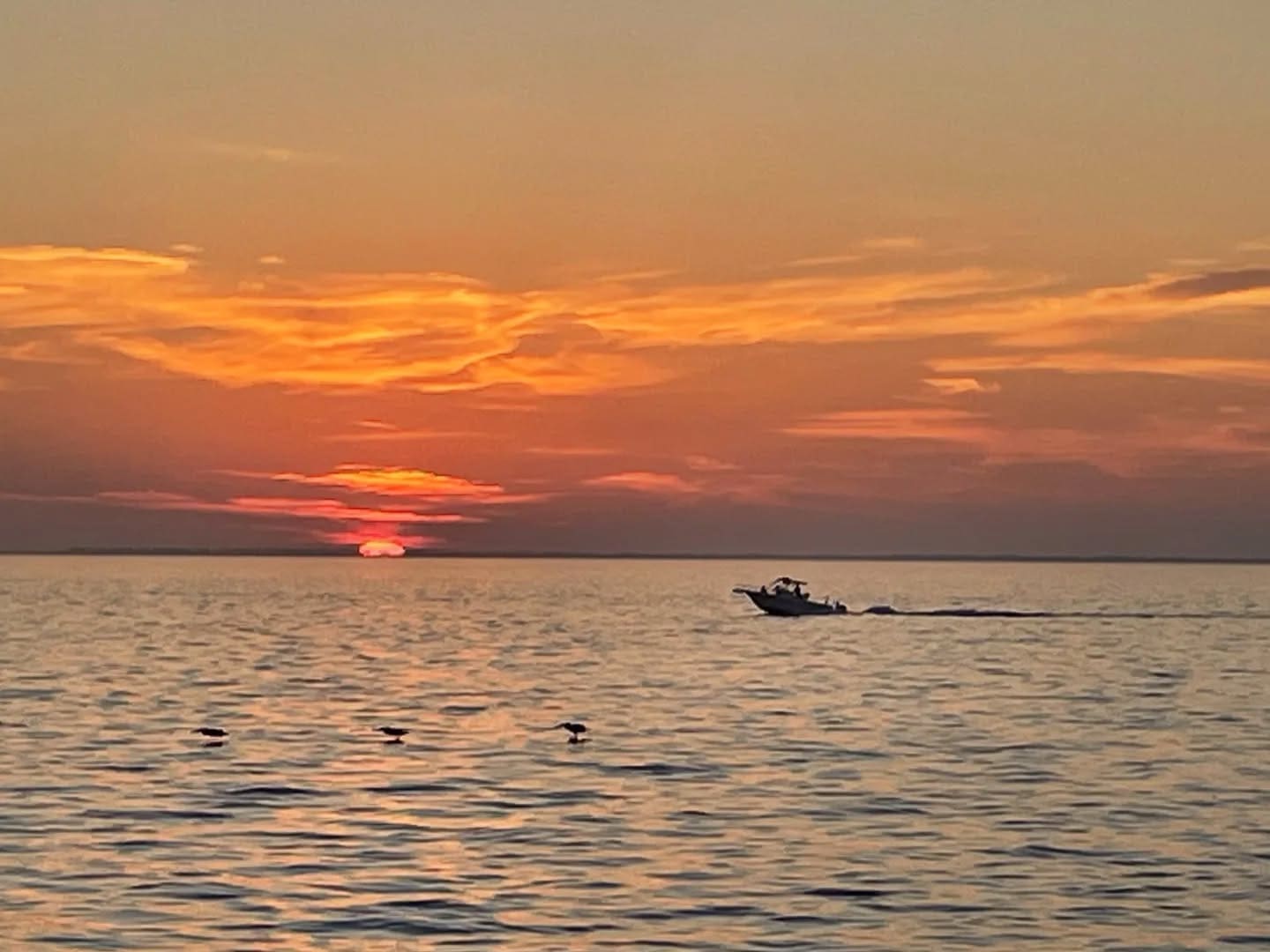 Sunset Cruise in Port St. Joe