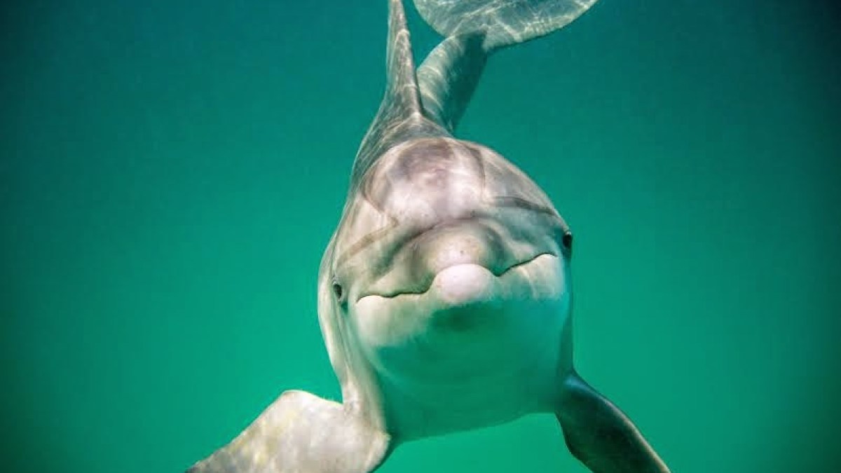 Snorkeling tour with Capt. Lorraine Frasier